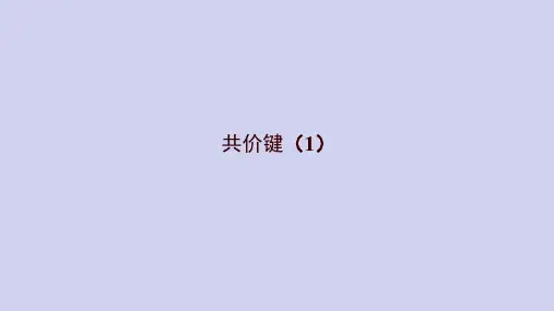 课件 2.1 共价键(1)(σ键和π键)-高中化学选择性必修2(新教材同步课件)