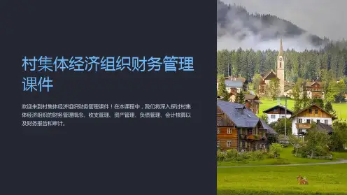 村集体经济组织财务管理课件