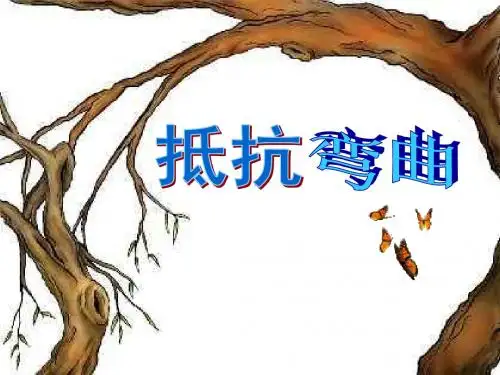 教科版 六年级科学上册 《2.1 抵抗弯曲》 精品PPT课件(14)