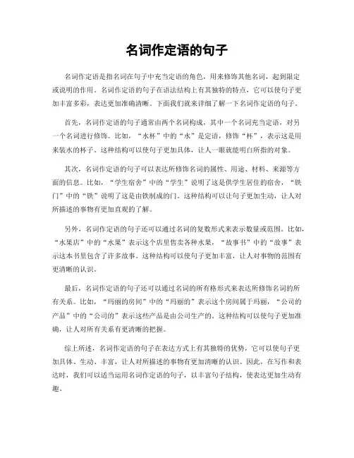名词作定语的句子