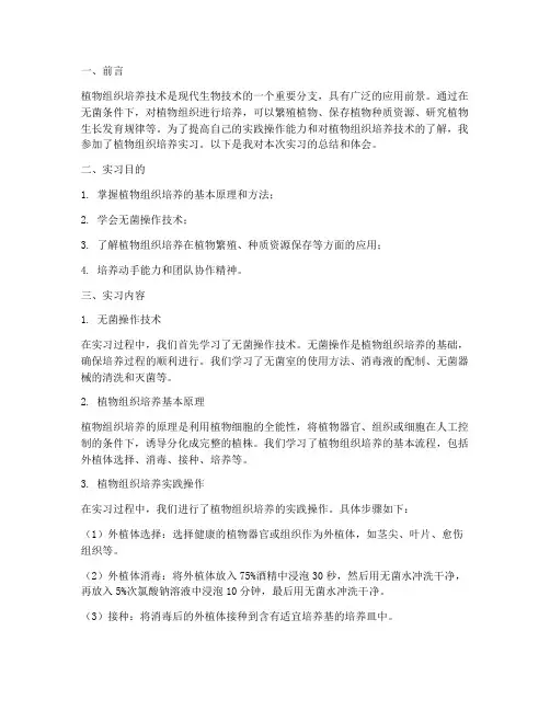 植物组织培养实习报告