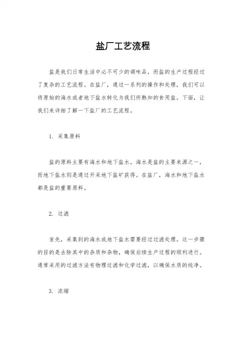 盐厂工艺流程