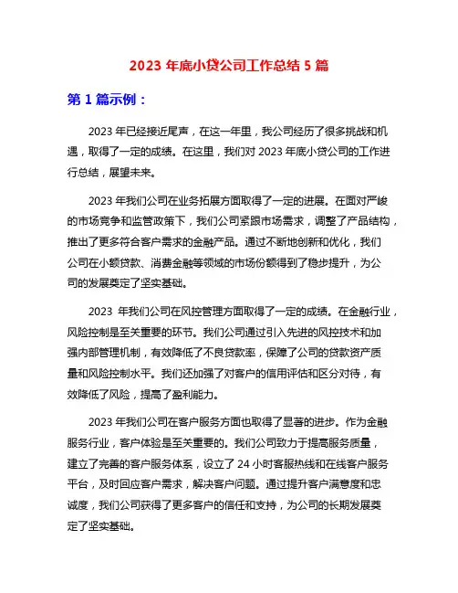 2023年底小贷公司工作总结5篇