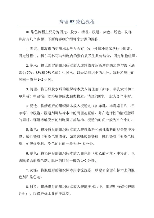 病理HE染色流程