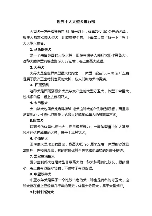 世界十大大型犬排行榜