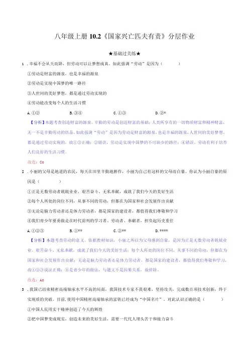 道德与法治人教版八年级上册2017年新编102 国家兴亡 匹夫有责 分层作业
