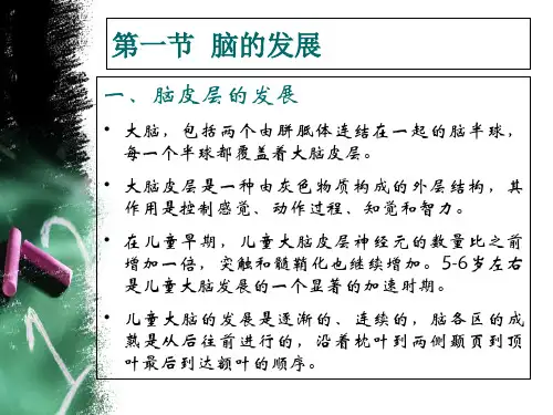 幼儿的生理发展课件