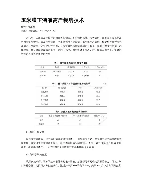 玉米膜下滴灌高产栽培技术