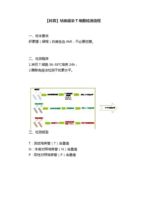 【科普】结核感染T细胞检测流程