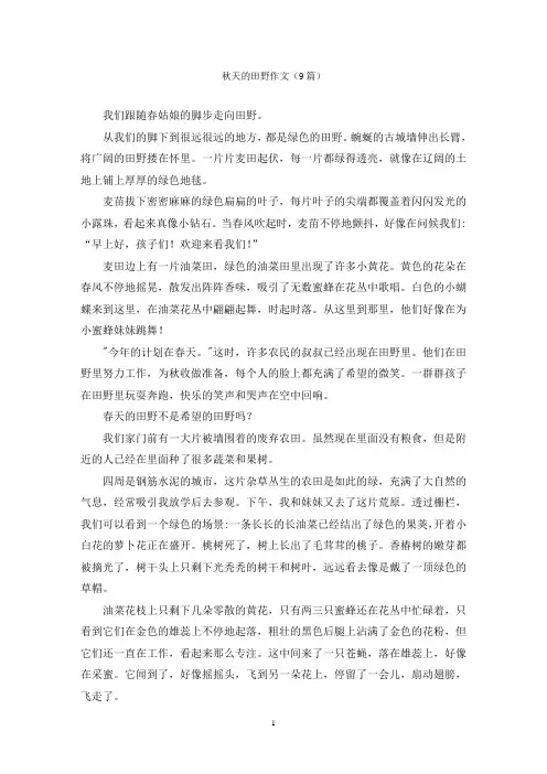 秋天的田野作文(9篇)