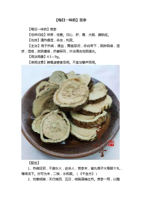 【每日一味药】苦参