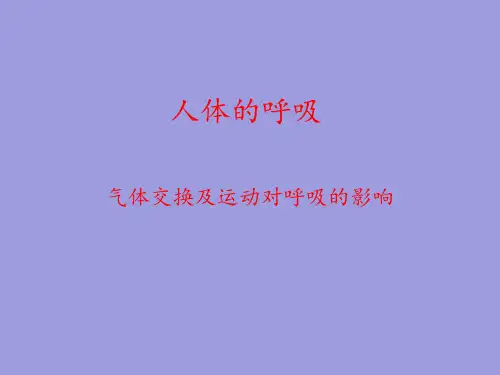 气体交换PPT