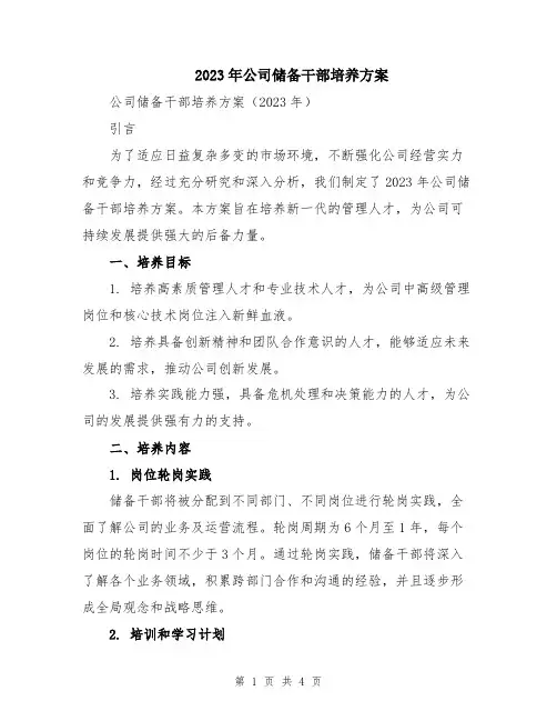 2023年公司储备干部培养方案