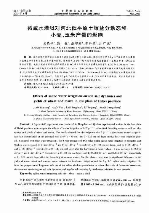 微咸水灌溉对河北低平原土壤盐分动态和小麦、玉米产量的影响