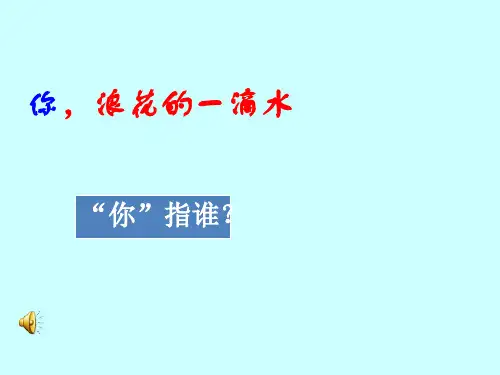 北师大版六年级下语文 你,浪花的一滴水课件