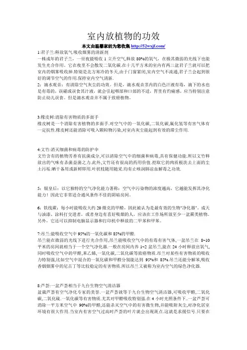 室内放植物的功效