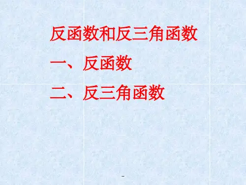 反函数和反三角函数(最新)