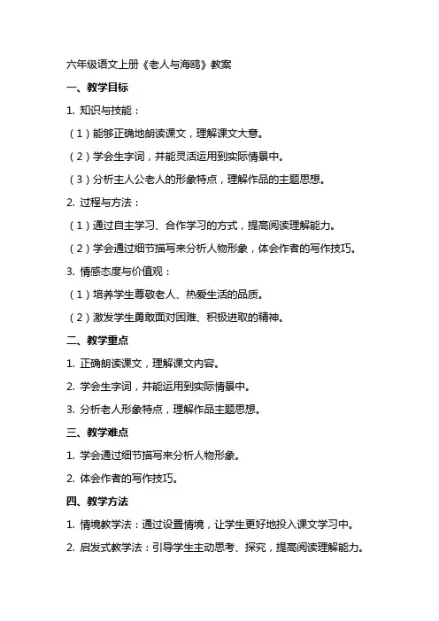 六年级语文上册老人与海鸥教案