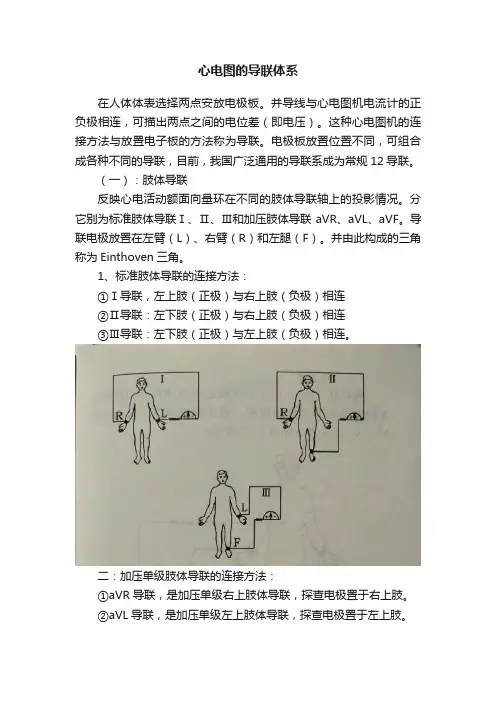 心电图的导联体系
