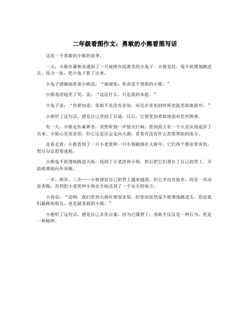 二年级看图作文：勇敢的小熊看图写话