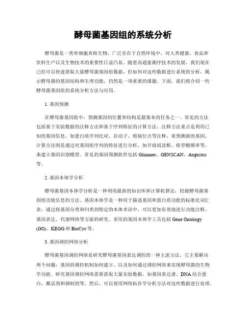 酵母菌基因组的系统分析