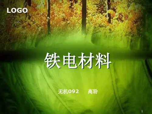 铁电材料PPT幻灯片课件