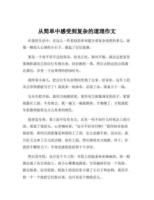 从简单中感受到复杂的道理作文