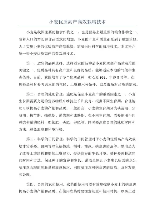 小麦优质高产高效栽培技术