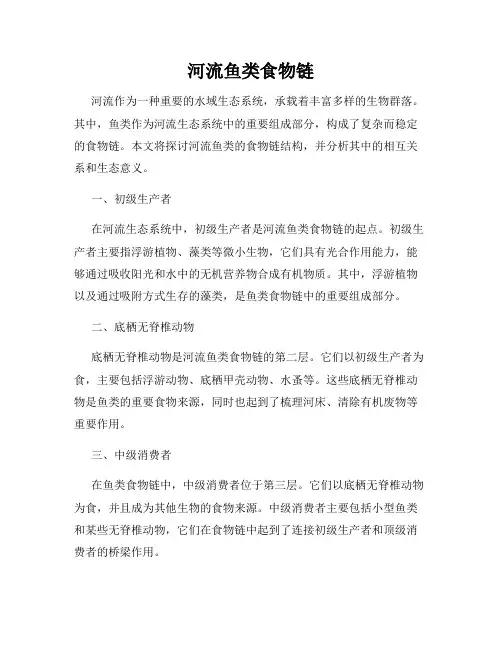 河流鱼类食物链