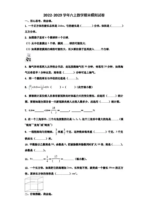 2023届广州市番禺区六年级数学第一学期期末调研模拟试题含解析