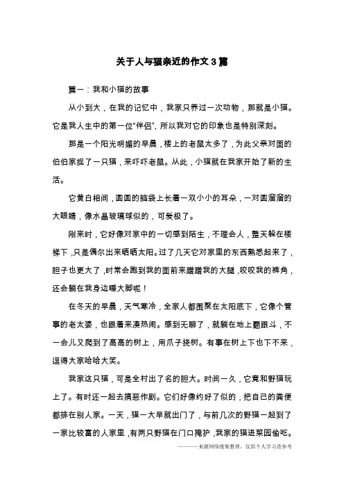 关于人与猫亲近的作文3篇