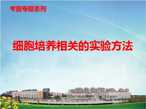 细胞培养实验课件(共16张PPT)