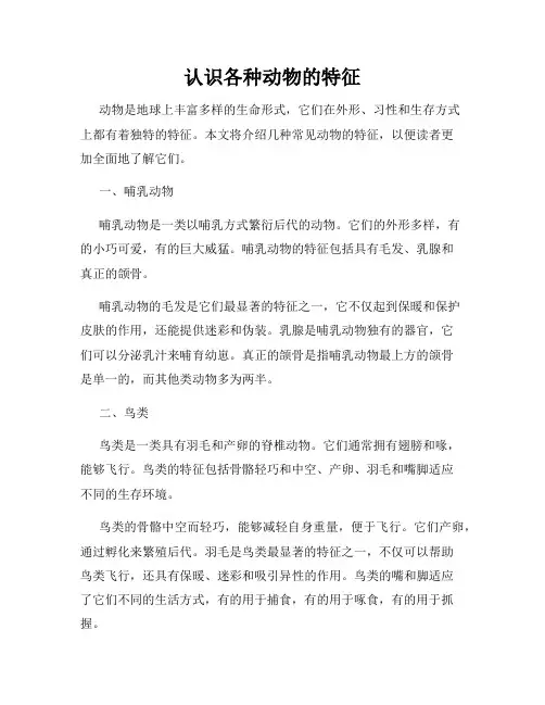 认识各种动物的特征