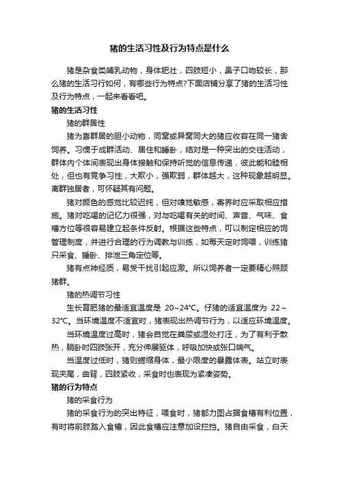 猪的生活习性及行为特点是什么