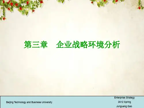 企业战略环境分析课程(PPT 48页)