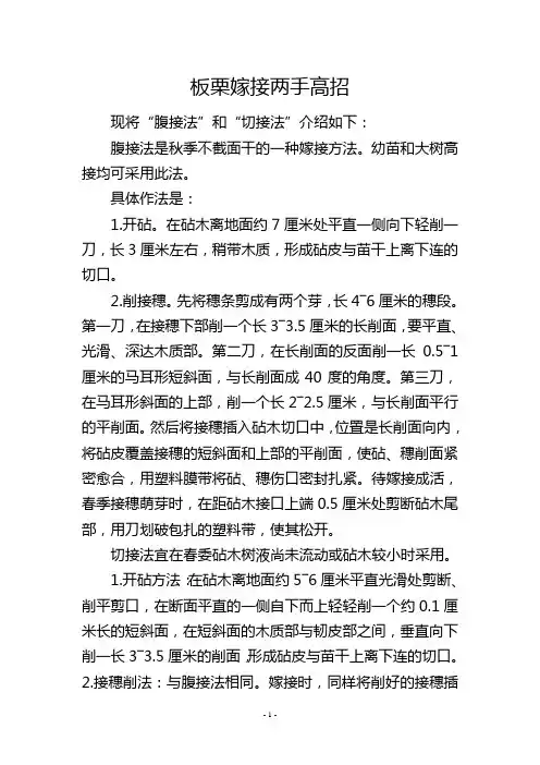 板栗嫁接两手高招