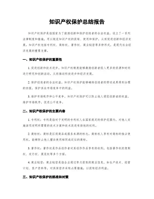 知识产权保护总结报告
