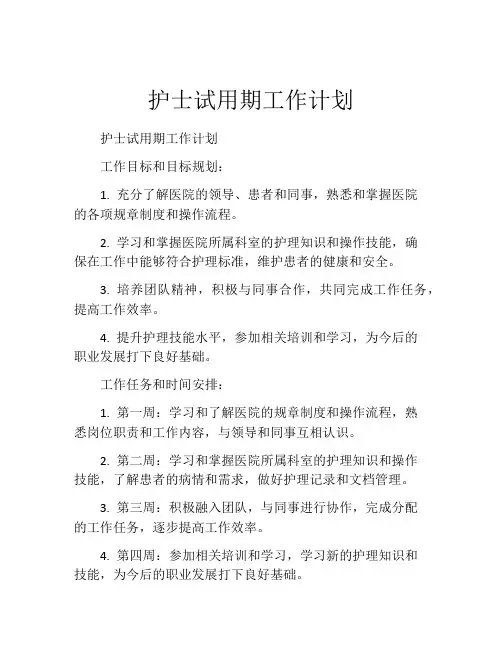 护士试用期工作计划