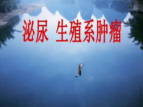 泌尿男性生殖系统肿瘤ppt课件