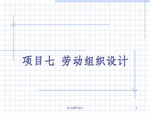 劳动组织设计ppt课件