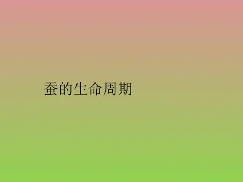 教科版科学三下《蚕的生命周期》ppt课件