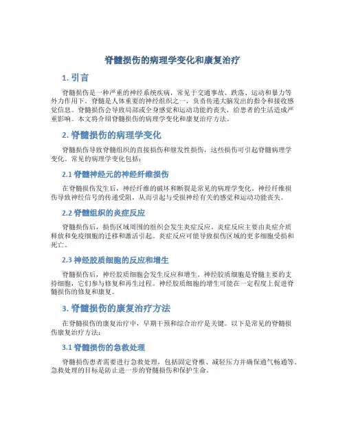 脊髓损伤的病理学变化和康复治疗