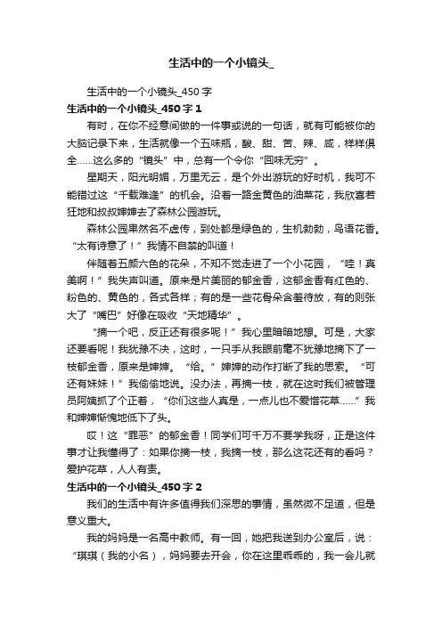 生活中的一个小镜头_450字