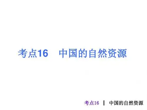 人教版中考地理总复习考点16《中国的自然资源》PPT课件(10张ppt)