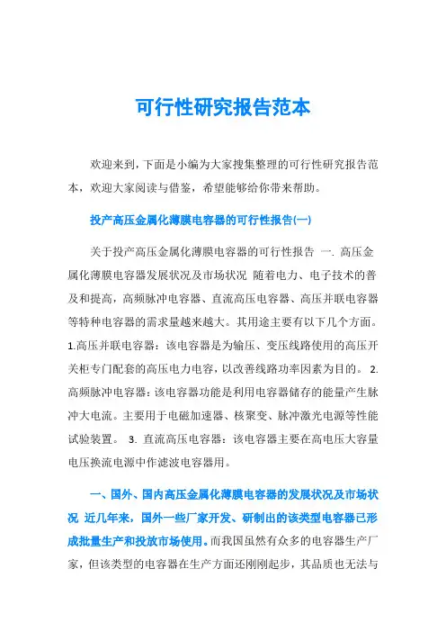 可行性研究报告范本