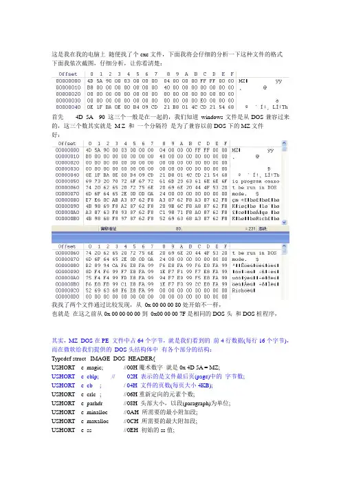 PE格式揭秘