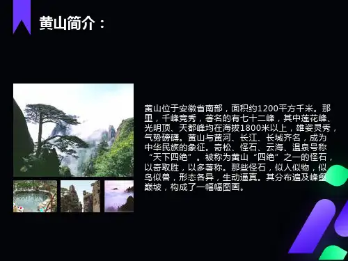 黄山奇石教学课件-完整版