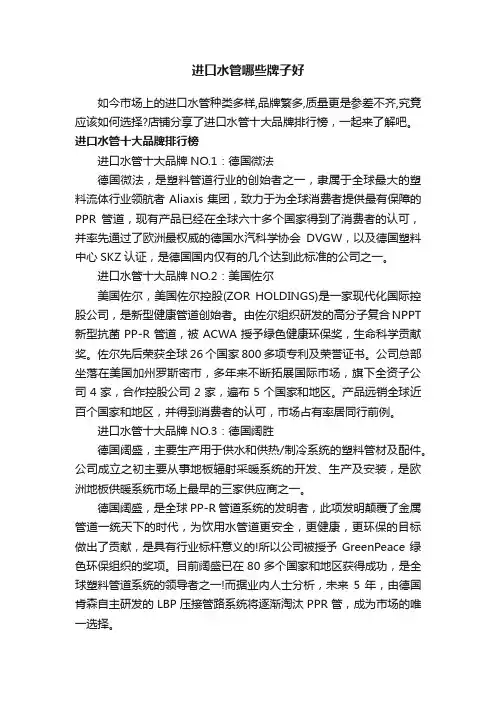 进口水管哪些牌子好