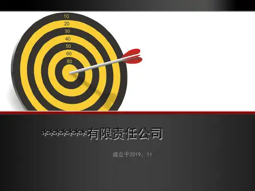 公司简介PPT20页PPT文档