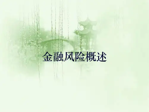 金融风险概述